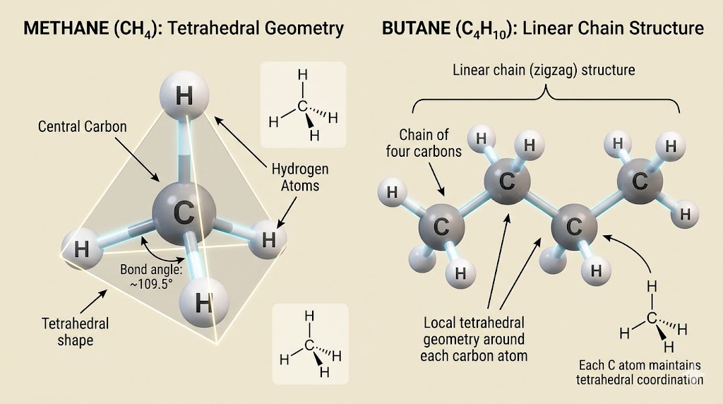3D Molecular Structure of Methane and Butane